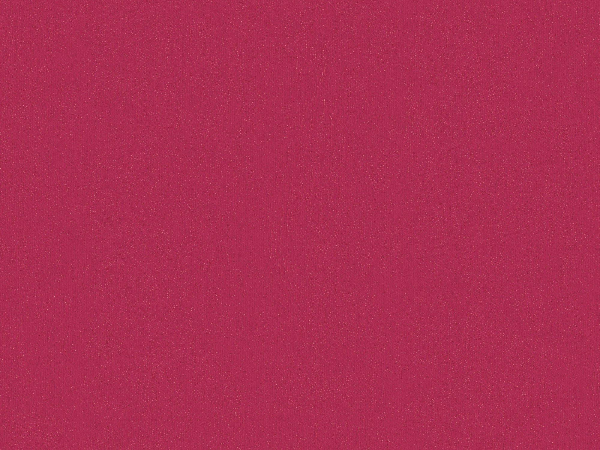 Viribus Year Planner 2025 image 1